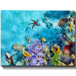Πίνακας Καμβάς 529TCR1265 70x50cm Multi Wallity Οριζόντιοι Ξύλο, Καμβάς