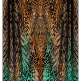 Χαλί Hmnt268 571HFT2990 Turkuaz-Orange-Black Conceptum Hypnose 100X150cm