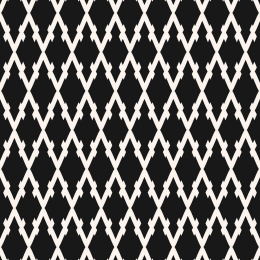 Χαλί EXFAB270 Black-White Conceptum Hypnose 100X150cm