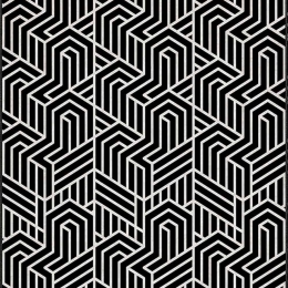 Χαλί CRPT-120 Black-White Conceptum Hypnose 160X230cm