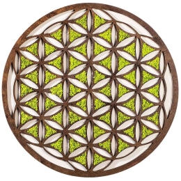 Διακοσμητικό Τοίχου Geometric 931NTR1107 44x1,6x44cm Multi Wallity Mdf