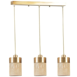 Φωτιστικό Οροφής - Ράγα Zeus 941RTN1189 55x14x70cm 3xE27 40W Gold Opviq