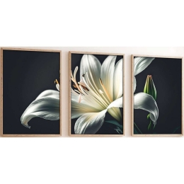 Κάδρα (Σετ 3Τμχ) 693BSE1582 50x70cm Multi Wallity Κάθετοι Mdf,Ξύλο