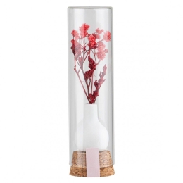 Αποξηραμένα Λουλούδια Σε Γυάλινο Βαζάκι Bouquet Red 3,5x13cm Raeder Πορσελάνη,Γυαλί