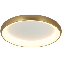 Φωτιστικό Οροφής - Πλαφονιέρα 2042 Led 3000K 30W Φ40cm Brushed Gold Matt Αλουμίνιο,Ακρυλικό