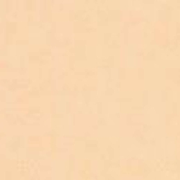 Ταπετσαρία Τοίχου Bambino New Rasch 123388 53x1005cm Beige New Plan