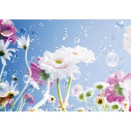 Φωτοταπετσαρία Dstandard A&G 0084Ft 360x254cm Ciel-White New Plan