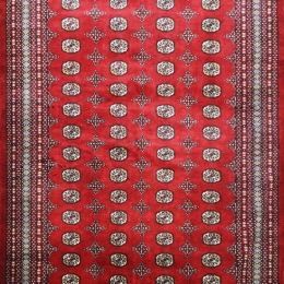 Χειροποίητο Χαλί Buhara Pakistan 240078 293X203 293X203cm