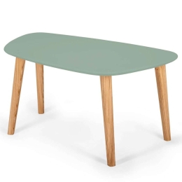 Τραπέζι Σαλονιού Endocarp M ENDOCARPCTM17 80x48x40cm Sage Green