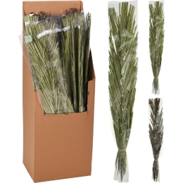 ΦΥΛΛΑ ARTELIBRE KHAJUR 95-100CM ΔΕΜΕΝΑ ΣΕ ΧΑΡΤΙΝΗ ΘΗΚΗ 36ΤΜΧ ΣΕ 3 ΠΟΙΚΙΛΙΕΣ