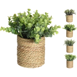 ΦΥΤΟ ΤΕΧΝΗΤΟ ARTELIBRE 23CM ΣΕ ΨΑΘΙΝΟ ΚΑΛΑΘΙ  11X11.5CM ΣΕ 4 ΠΟΙΚΙΛΙΕΣ