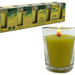 ΚΕΡΙ 45G ΑΡΩΜΑ LEMONGRASS ΣΕ ΓΥΑΛΙΝΟ ΠΟΤΗΡΙ Φ5X6CM ΣΕΤ 5ΤΜΧ