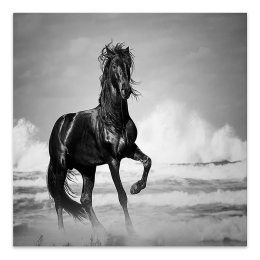 ΠΙΝΑΚΑΣ ΣΕ ΚΑΜΒΑ "BLACK HORSE" MEGAPAP ΨΗΦΙΑΚΗΣ ΕΚΤΥΠΩΣΗΣ 60X60X3ΕΚ.
