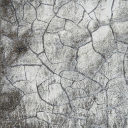 Χαλί Contempo 20815-795 Brown-Beige Merinos 200X290cm